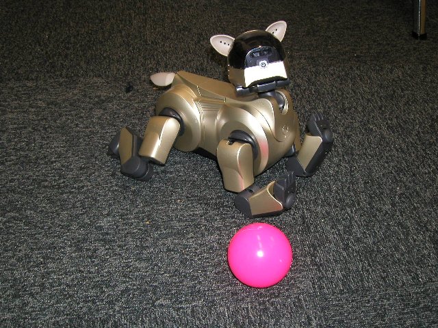 AIBO.jpg(121412 byte)