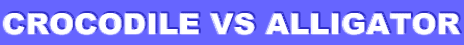 CROCODILE VS ALLIGATOR