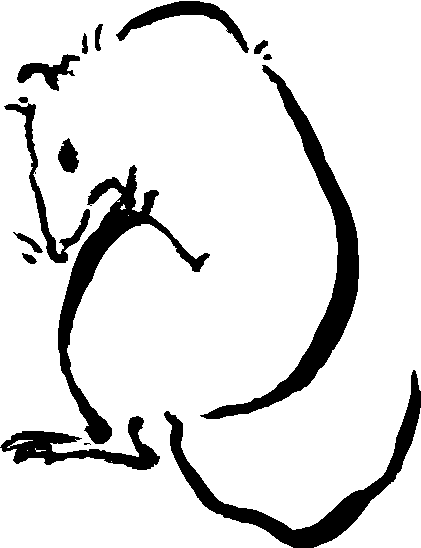rat
